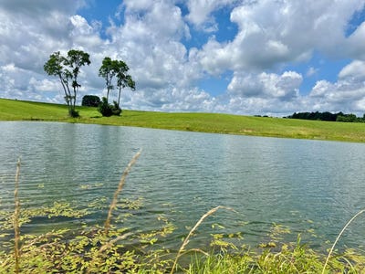 /international/us/4658-vineyard-road-madison-in-110100679927/