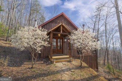 /international/us/766-laurel-ridge-drive-blue-ridge-ga-110107161856/