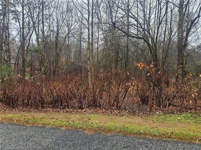 /international/us/2040-jefferson-oaks-drive-rural-hall-nc-110101815946/