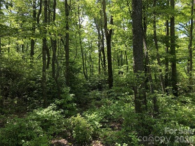 /international/us/millard-crossing-hendersonville-nc-110108332532/