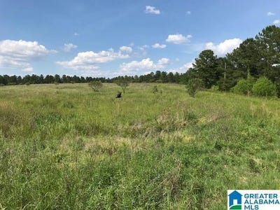 /international/us/0-sanie-road-odenville-al-110042417631/?lang=zh-tw