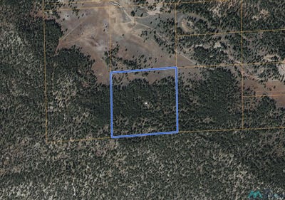 /international/us/forest-road-157-bluewater-lake-south-nm-110107000871/
