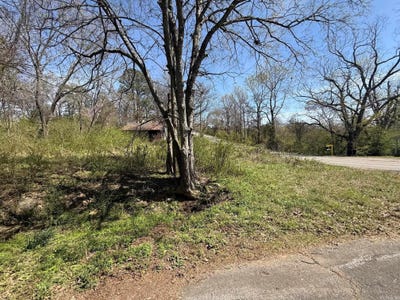 /international/us/708-holly-ave-mena-ar-110106468545/