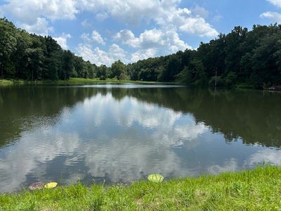 /international/us/603-deer-run-road-cadiz-ky-110096199157/