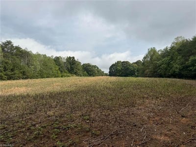 /international/us/6700-lot-25-acres-doral-drive-tobaccoville-nc-110120463893/
