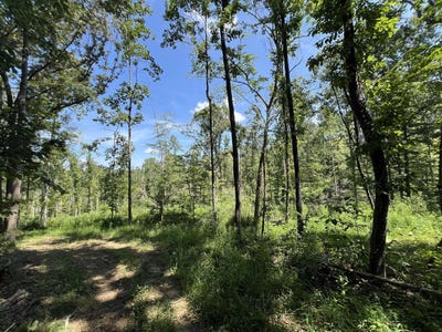 /international/us/3708-e-new-roe-road-adolphus-ky-110101261066/
