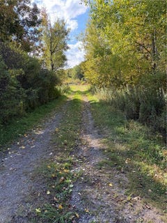 /international/us/hardknocks-road-unadilla-ny-110120453433/