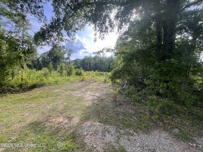 /international/us/pettey-road-forest-ms-110108538903/