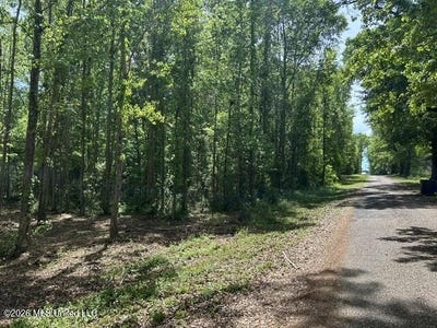 /international/us/parcel-4-stovall-lane-summit-ms-110107162938/
