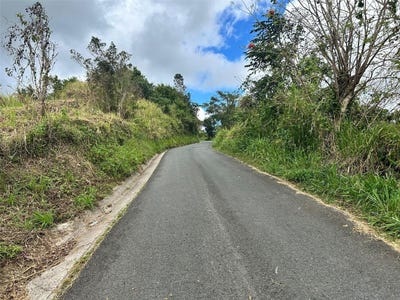 /international/us/carr-723-2-3-int-aibonito-pr-110106932907/