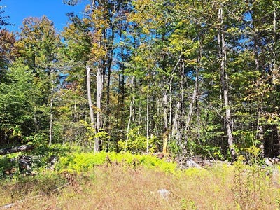 /international/us/lot-b-beulah-land-rd-blandford-ma-110108090439/