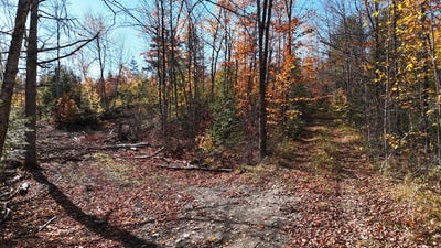 /international/us/old-county-road-lot-1-woodville-me-110120662361/