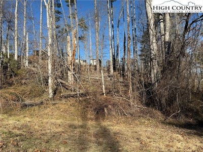 /international/us/george-mckinney-circle-spruce-pine-nc-110104407194/