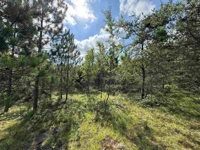 /international/us/10320-upper-mograin-cheboygan-mi-110101220199/