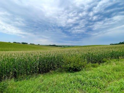 /international/us/old-hwy-141-sergeant-bluff-ia-110089487973/