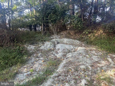 /international/us/wolfsville-road-lot-2-myersville-md-110102196333/