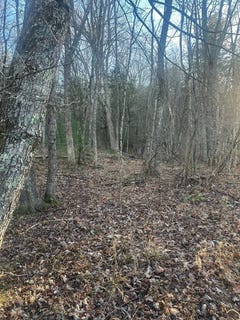 /international/us/little-creek-hwy-lot-0-dublin-va-110103975312/