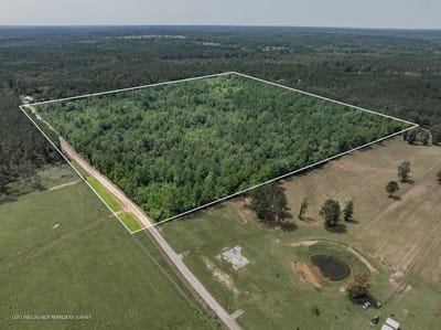 /international/us/40-acres-son-s-ln-mount-olive-ms-110106697950/