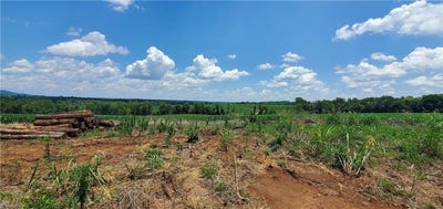 /international/us/3641-us-highway-21-hamptonville-nc-110110026566/