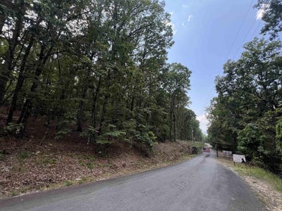 /international/us/0-lake-ouachita-trail-mountain-pine-ar-110101429873/