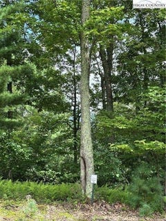 /international/us/lot-17-sunset-ridge-drive-boone-nc-110101502918/