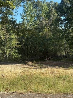 /international/us/5237-eastern-ridge-circle-cottondale-al-110110337794/