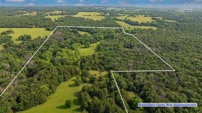 /international/us/783-county-road-128-gainesville-tx-110098050616/?lang=zh-cn