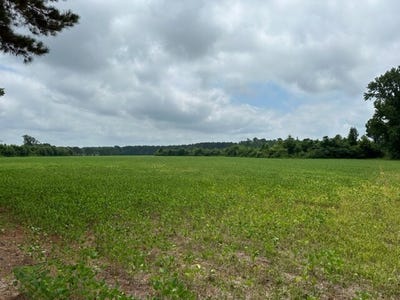 /international/us/428-0-long-branch-rd-lumberton-nc-110092906846/