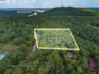 /international/us/mcdonald-meadows-parkway-lot-0-bull-shoals-ar-110119932210/