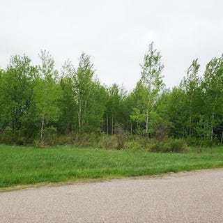 /international/us/-80-ac-railroad-ave-argonne-wi-110107607101/