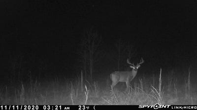 /international/us/martin-creek-williford-ar-110099955638/?lang=en