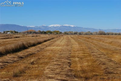 /international/us/s-county-road-106-alamosa-co-110095383061/