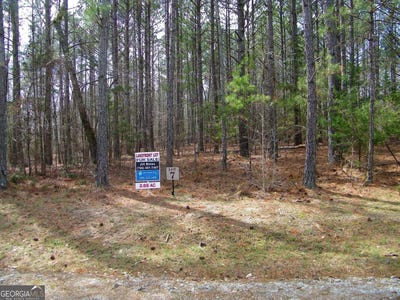 /international/us/lot-7-blackberry-bend-elberton-ga-110097774369/?lang=zh-tw