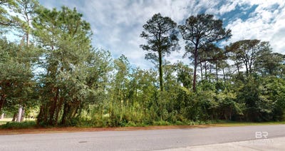 /international/us/162-orleans-drive-dauphin-island-al-110095766710/