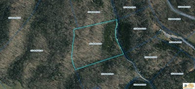 /international/us/10-73-smith-grove-road-burkesville-ky-110100469802/