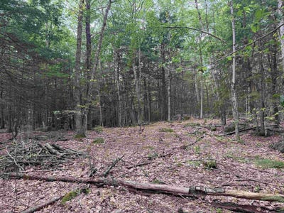 /international/us/forest-road-lot-r11-11-1-hancock-nh-110101088067/
