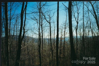 /international/us/damselfly-court-lot-35-spruce-pine-nc-110101239778/?lang=de