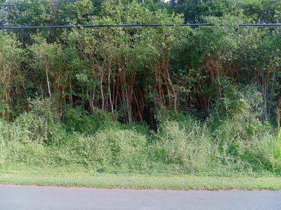 /international/us/diamond-head-rd-pahoa-hi-110105020536/