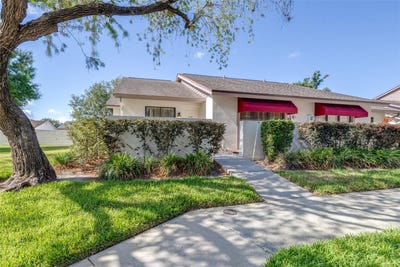 /international/us/709-oak-park-place-brandon-fl-110108141252/