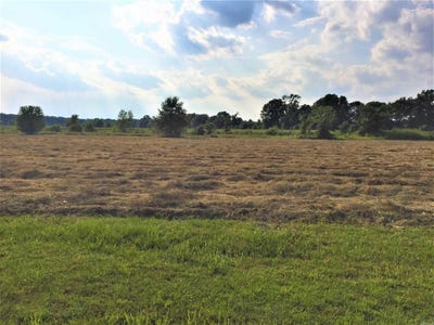 /international/us/mound-view-drive-lot-303-england-ar-110104512389/