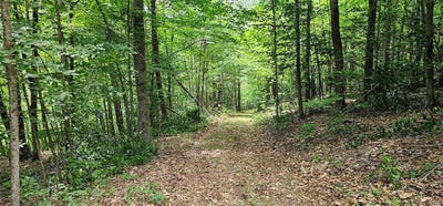 /international/us/cr-16-beaver-dams-ny-110108985055/