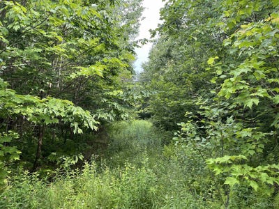 /international/us/80-acres-atherton-trenary-mi-110100925726/