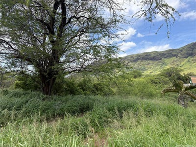 /international/us/waianae-valley-road-waianae-hi-110106922733/