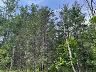 /international/us/idlewild-woods-drive-sturgeon-bay-wi-110100918702/?lang=zh-cn