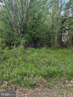 /international/us/128-long-point-rd-stevensville-md-110107583721/