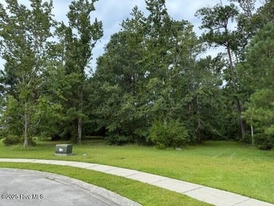 /international/us/1212-moultrie-drive-nw-calabash-nc-110101350007/?lang=zh-cn