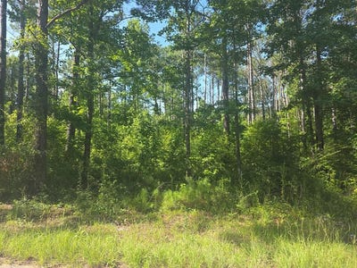 /international/us/winding-way-blvd-lot-441-georgetown-ga-110109083197/