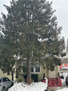 /international/us/14712-15th-drive-whitestone-ny-110105874564/