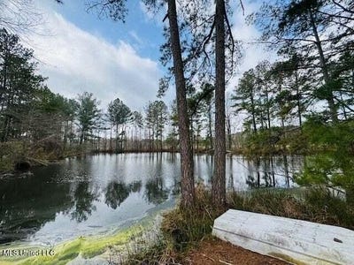 /international/us/mount-carmel-church-road-foxworth-ms-110105332039/