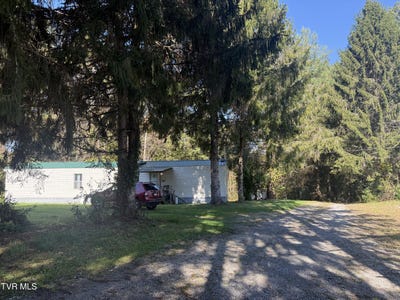 /international/us/3722-dungannon-road-coeburn-va-110120550330/